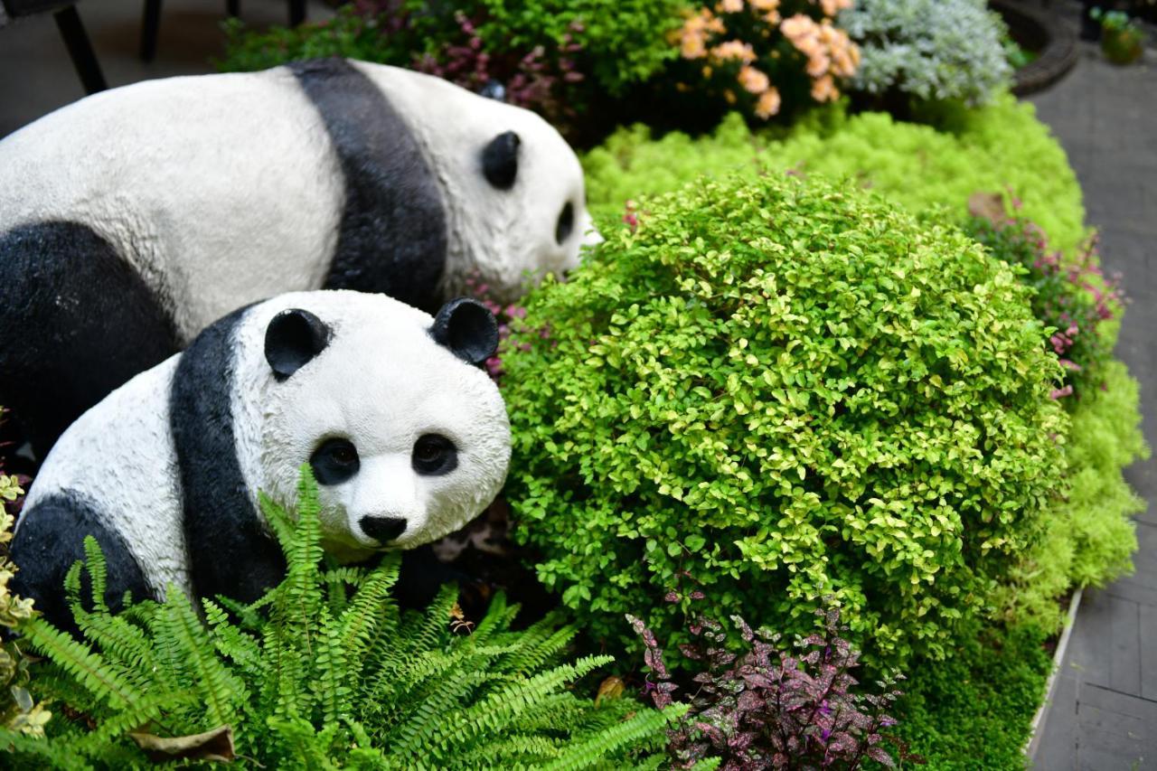 Xishu Garden Inn - Travel Agency Service - Car Rent Service - English Speaking Chengdu Bagian luar foto